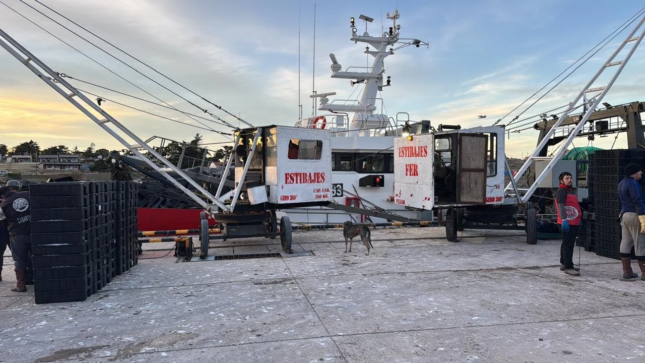 WhatsApp Image 2026-01-09 at 1.48.01 PM (2).jpeg