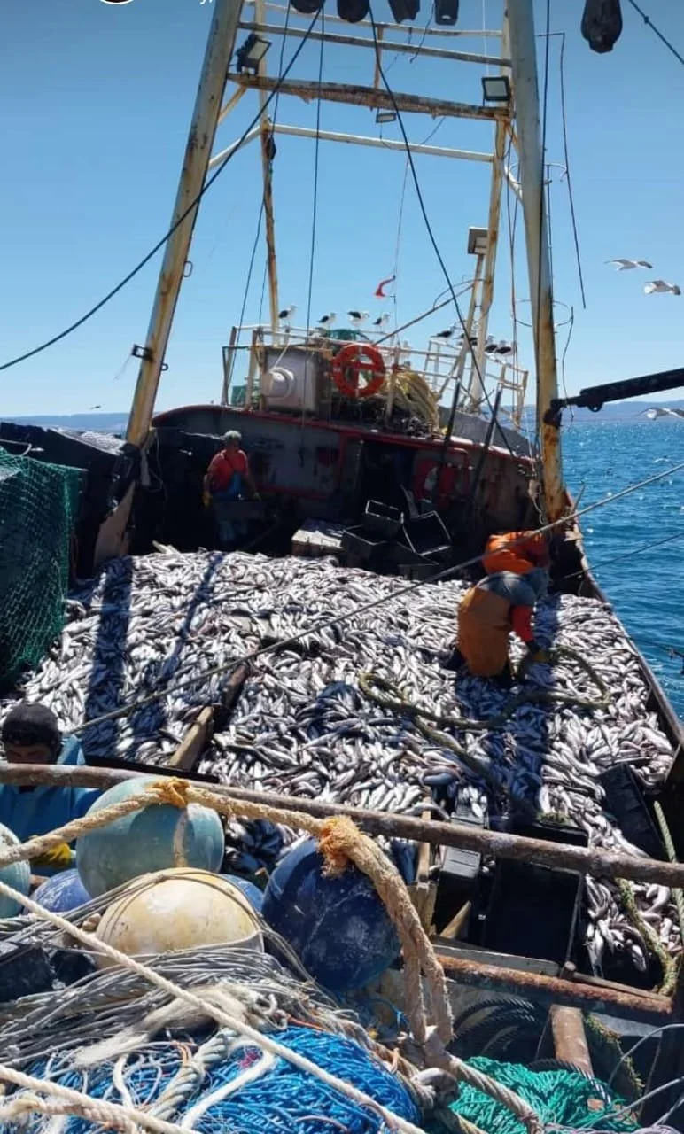 WhatsApp Image 2025-01-29 at 08.05.51.jpeg