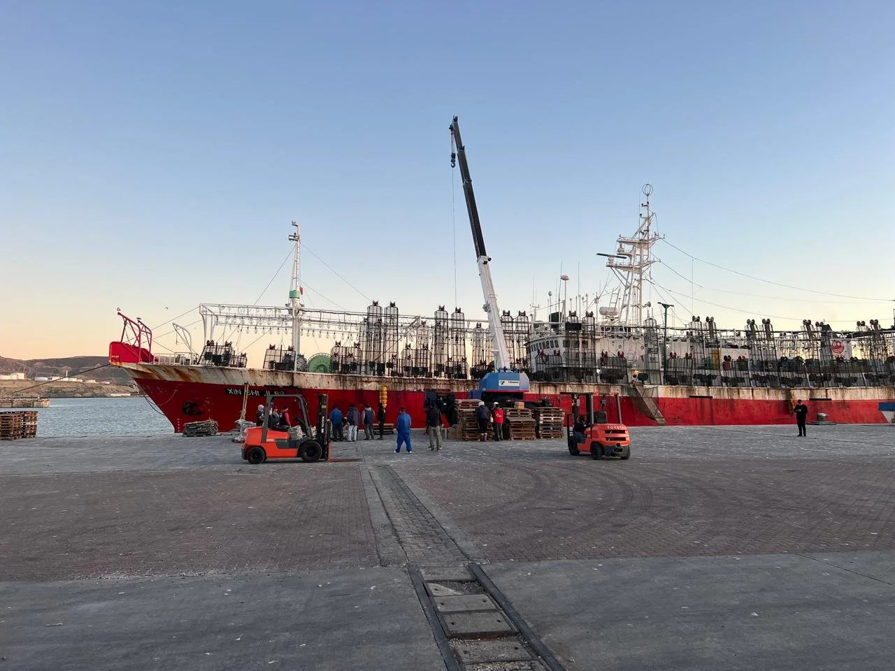 WhatsApp Image 2026-01-09 at 1.42.29 PM (5).jpeg