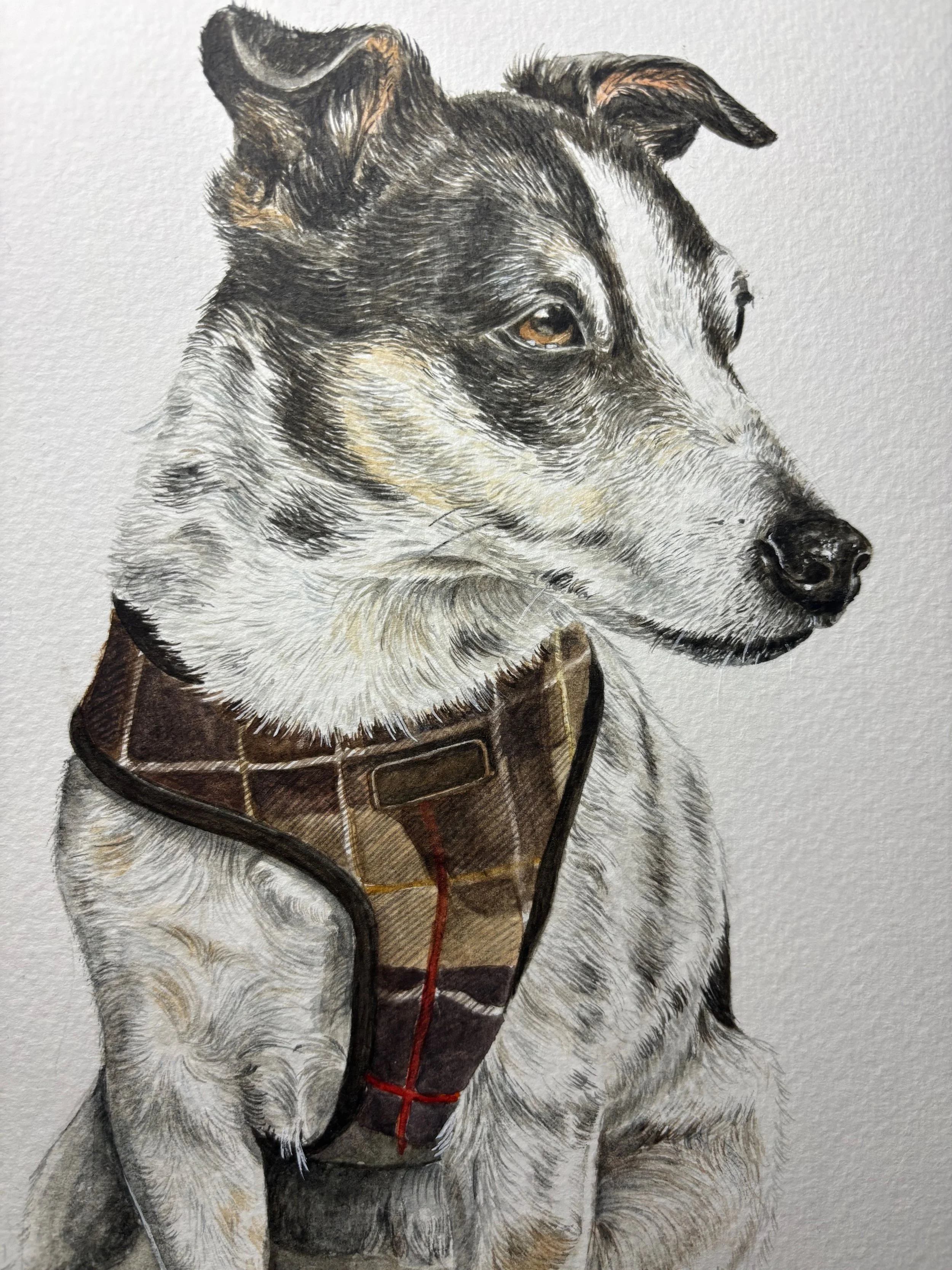 Watercolour Portrait