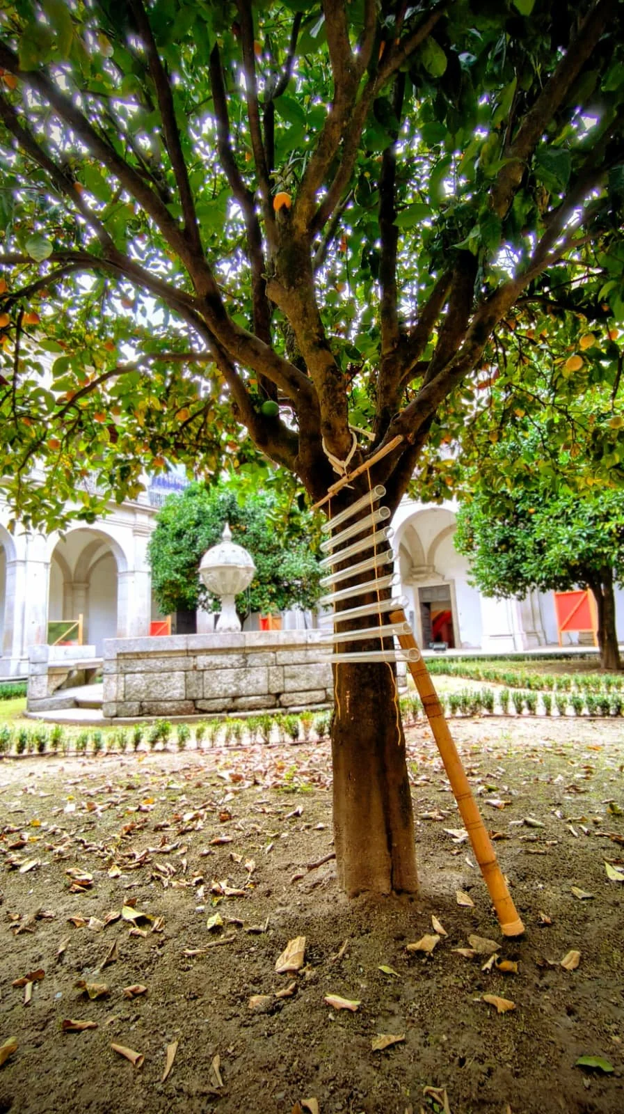 WhatsApp Image 2025-10-04 at 20.57.44 (3).jpeg