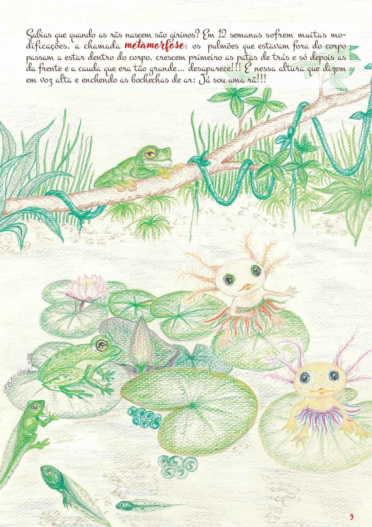 Cancioneiro do Animais NOVATERRA_page-0009.jpg