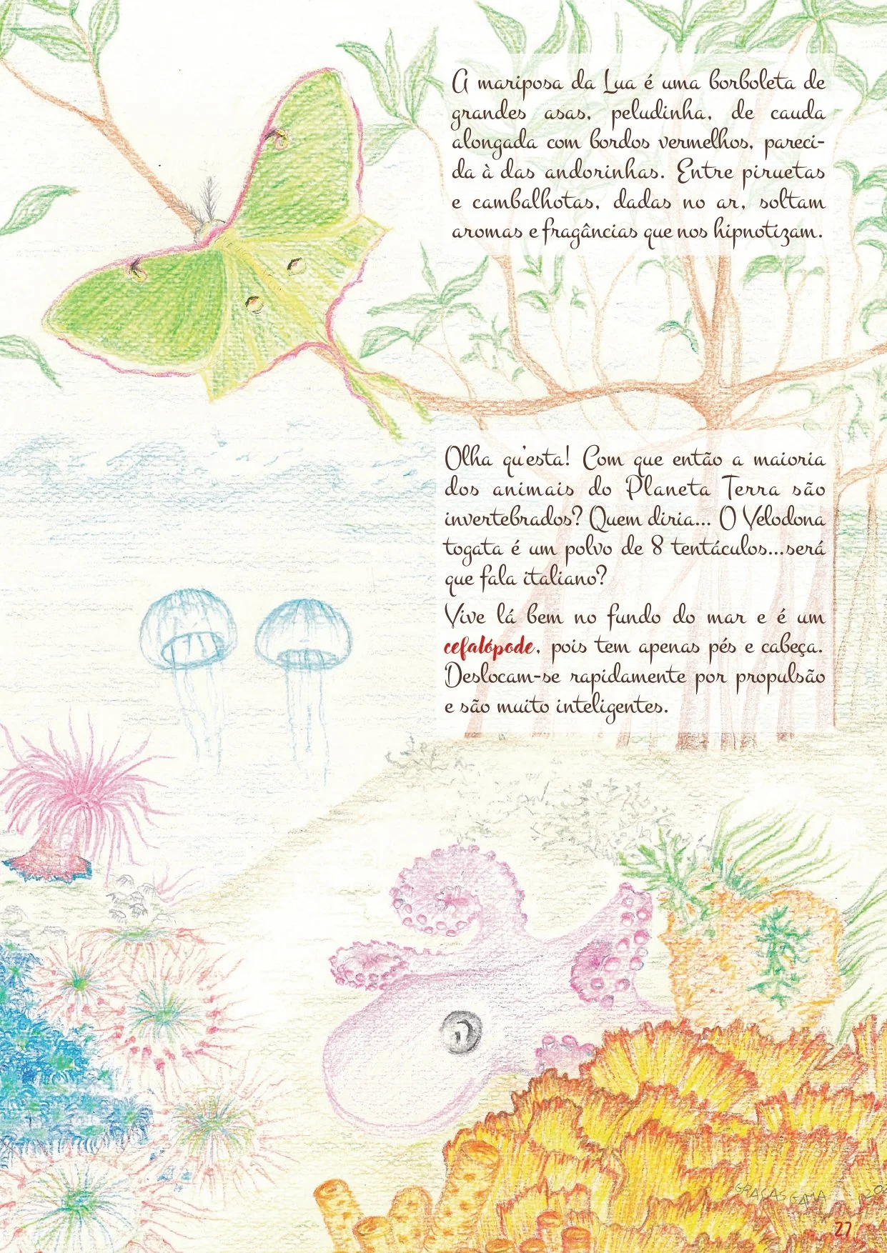 Cancioneiro do Animais NOVATERRA_page-0027.jpg