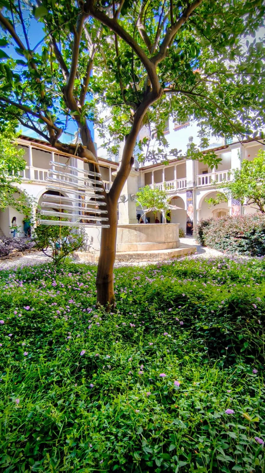 WhatsApp Image 2025-10-05 at 22.20.23.jpeg