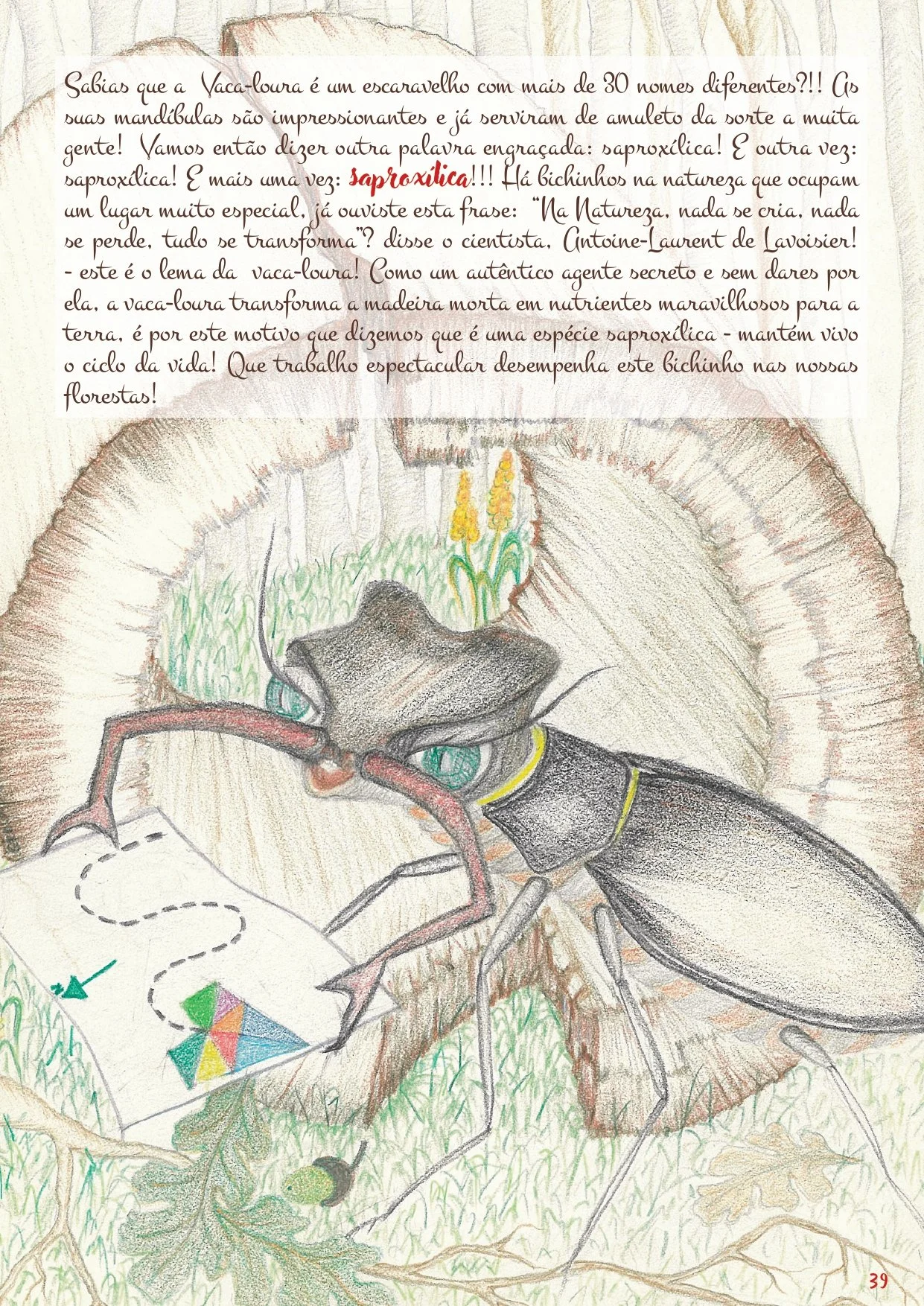 Cancioneiro do Animais NOVATERRA_page-0039.jpg