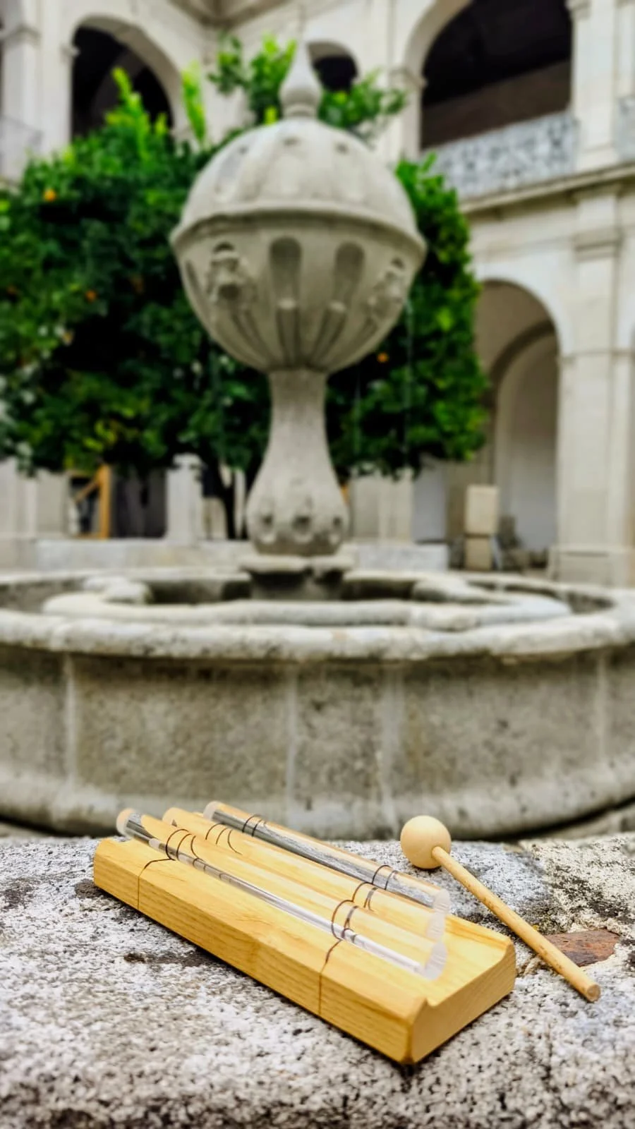 WhatsApp Image 2025-10-04 at 20.57.34.jpeg