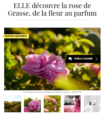La rose de Grasse - publié dans ELLE.