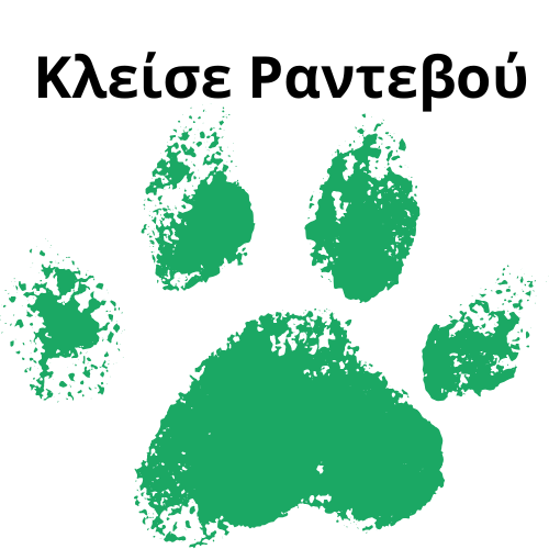 ΠΑΤΟΥΣΑ ΣΚΥΛΟΥ ΜΕ ΤΟ ΤΗΛΕΦΩΝΟ ΤΟΥ ΜΑΓΑΖΙΟΥ