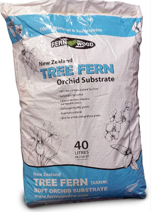 Fernwood tree Fern Fiber