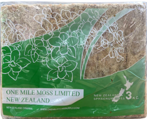 One Mile New Zealand Long Strand Moss