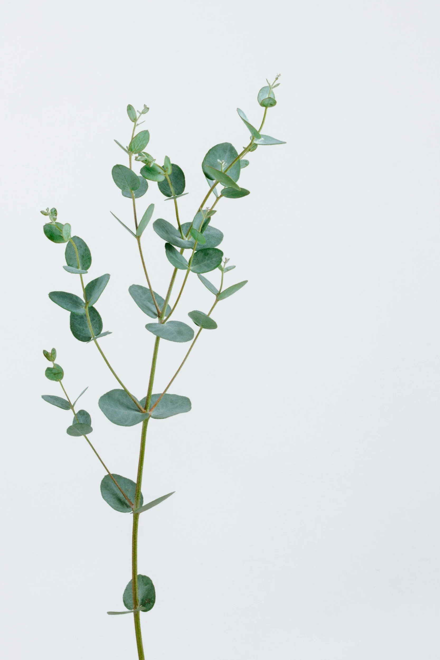 Ganzheitliche Behandlung bei Verspannungen, Stress und Erschöpfung