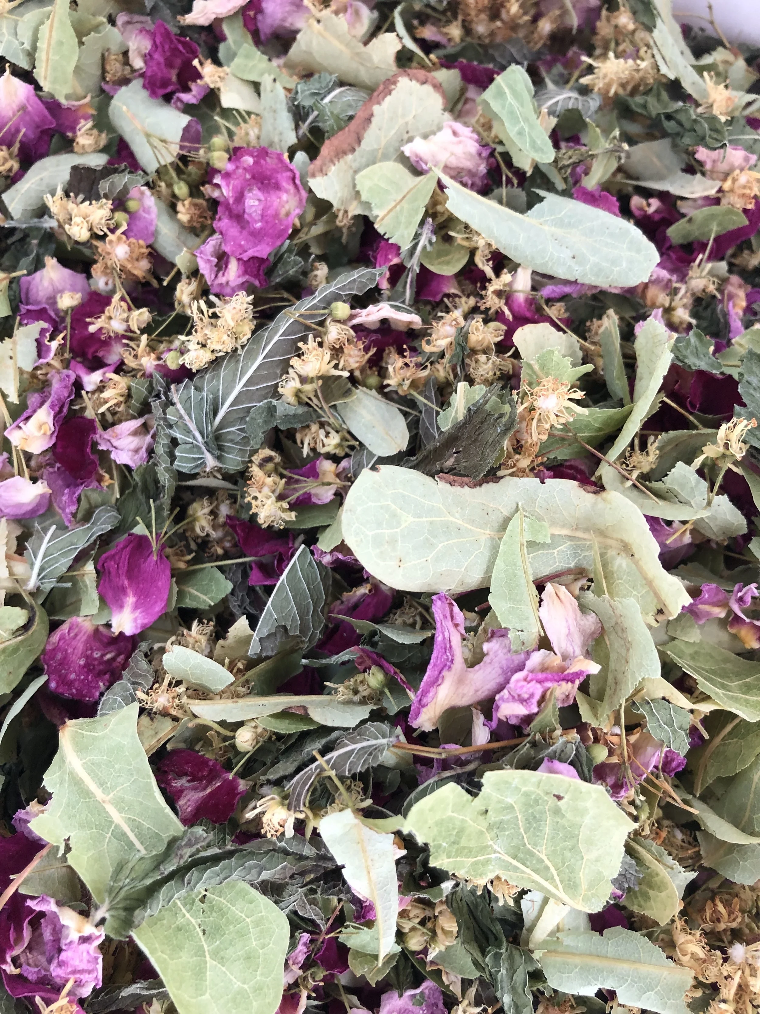 Melange_A lOmbreduTilleul.jpeg