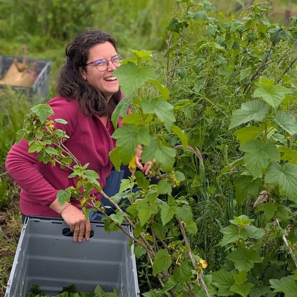 Femme souriante dans un jardin entourée de végétation et de vignes, tenant une caisse