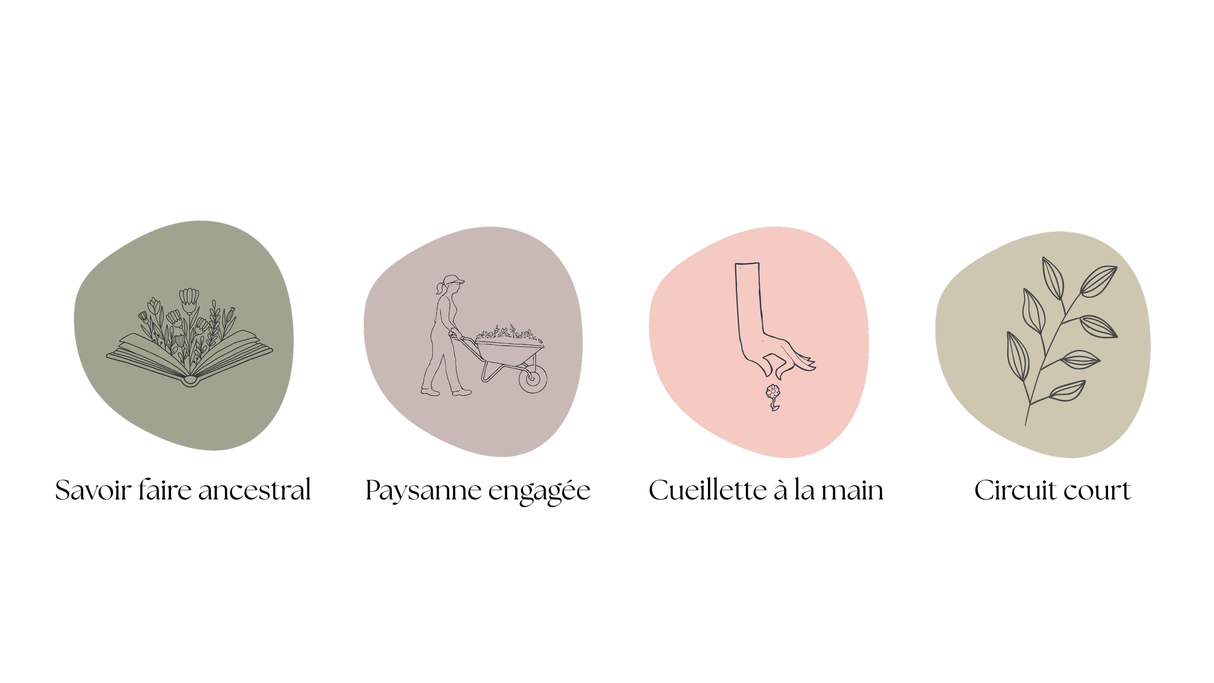 Processus de gardening écologique illustré par quatre icônes : un livre avec des fleurs, une personne poussant une brouette de plantes, une main plantant une graine, et une branche avec des feuilles.