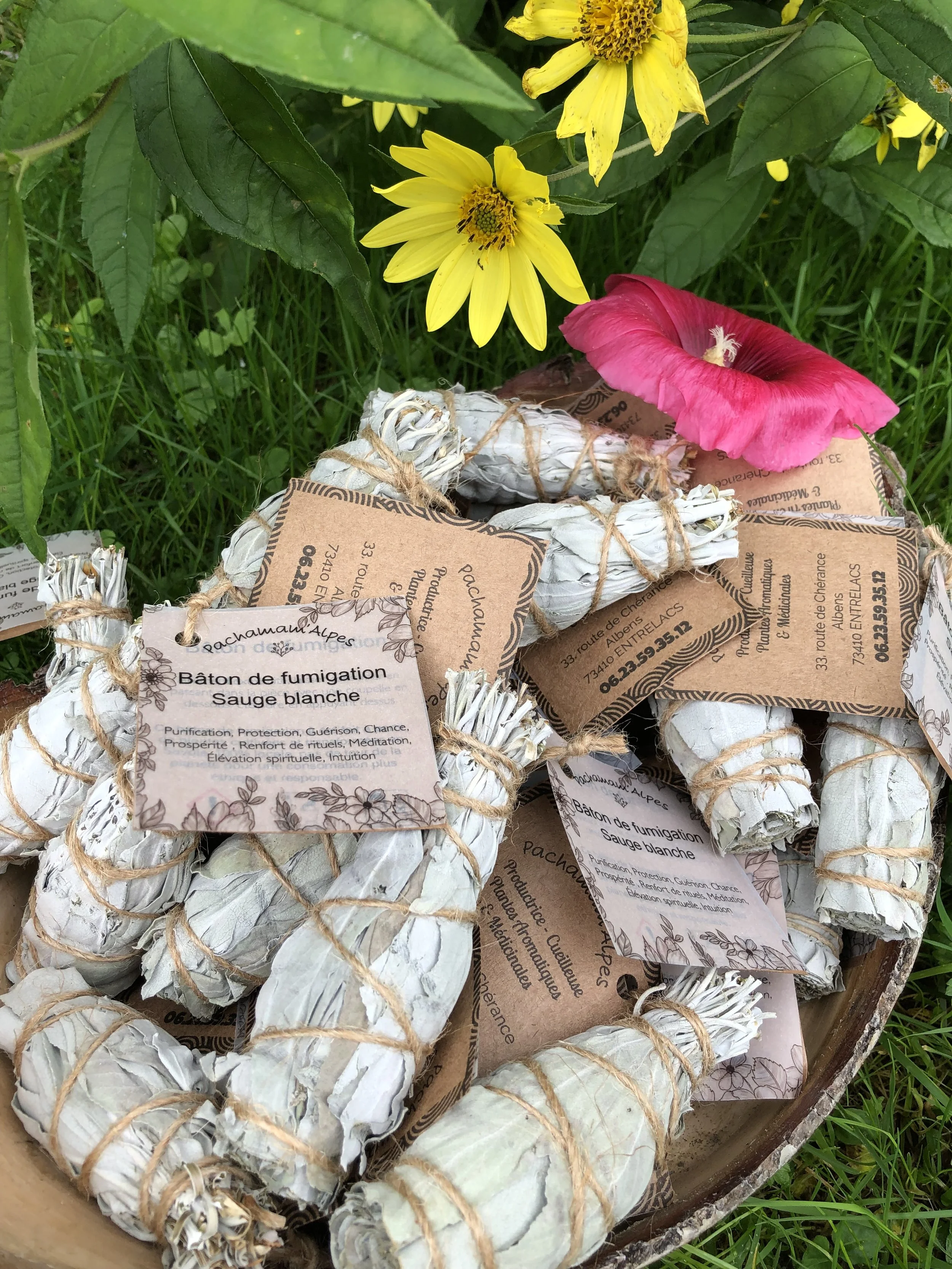 BÂTONS DE FUMIGATION À LA SAUGE