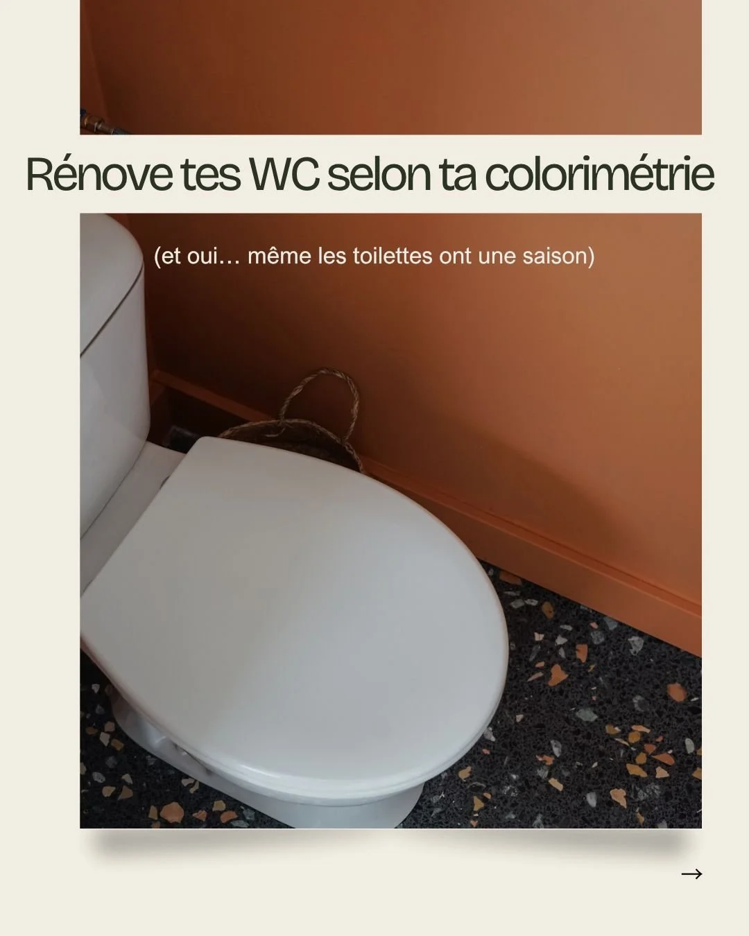 On parle toujours de colorim&eacute;trie pour les v&ecirc;tements.
Mais jamais pour la d&eacute;co. Erreur.

La palette qui te met en valeur fonctionne aussi dans ton int&eacute;rieur.
M&ecirc;me dans les WC.

Parce que oui :
❄️ certaines personnes s