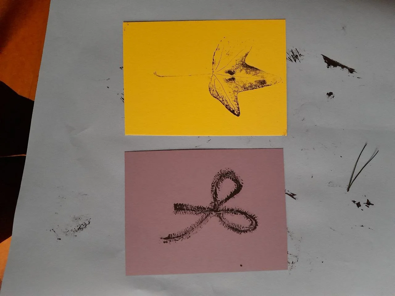 photo_2026-01-15 16.47.38.jpeg