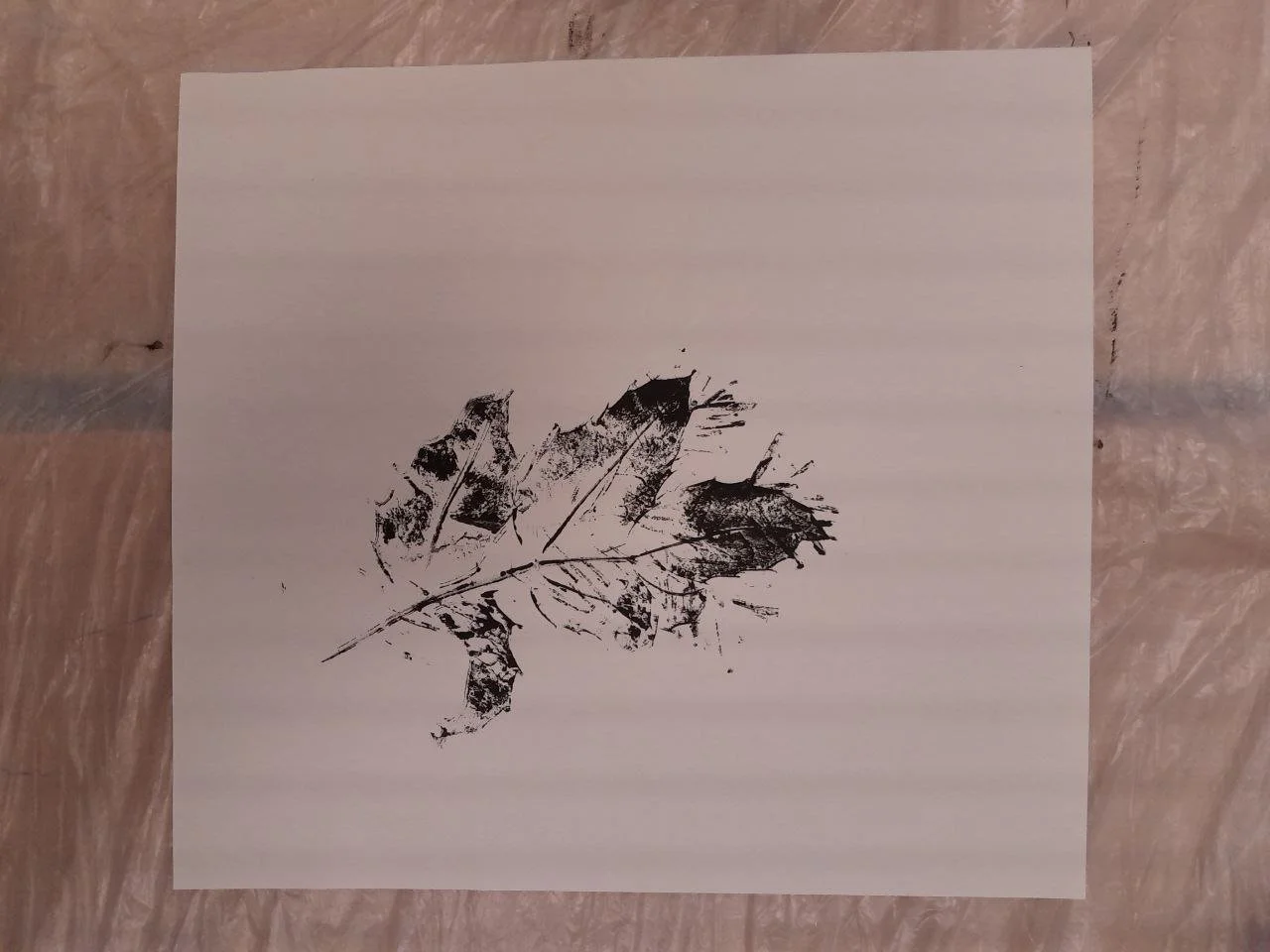 photo_2026-01-15 16.51.57.jpeg