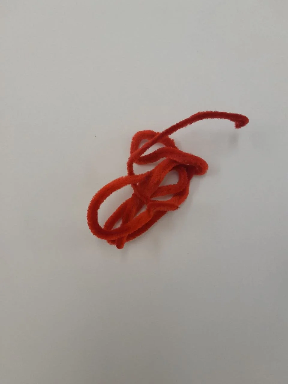 photo_2026-01-15 17.08.28.jpeg