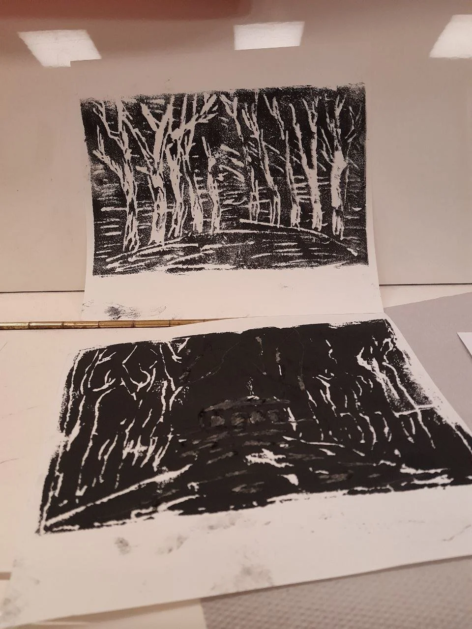 photo_2026-01-15 16.47.31.jpeg