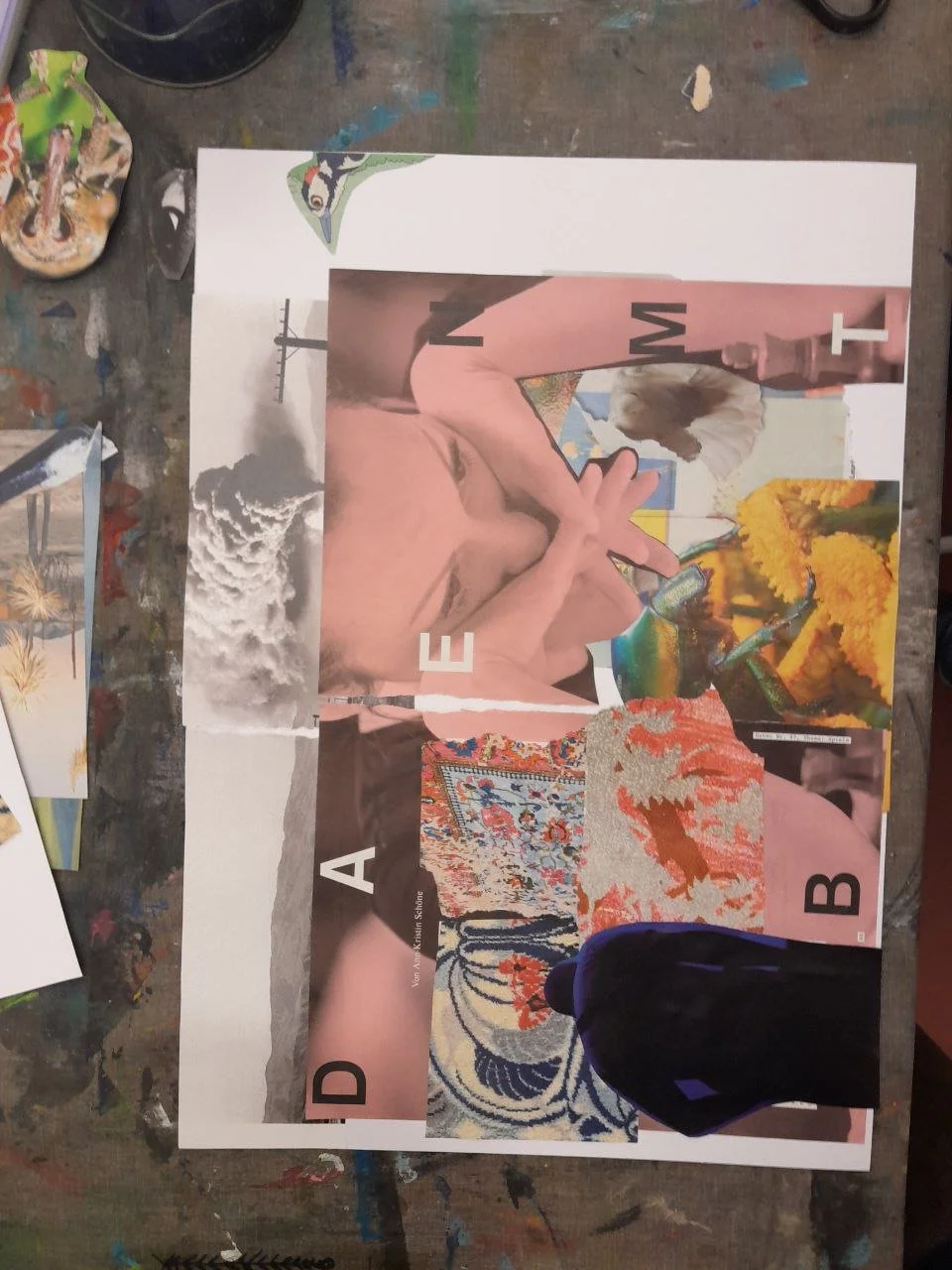 photo_2026-01-15 17.08.05.jpeg