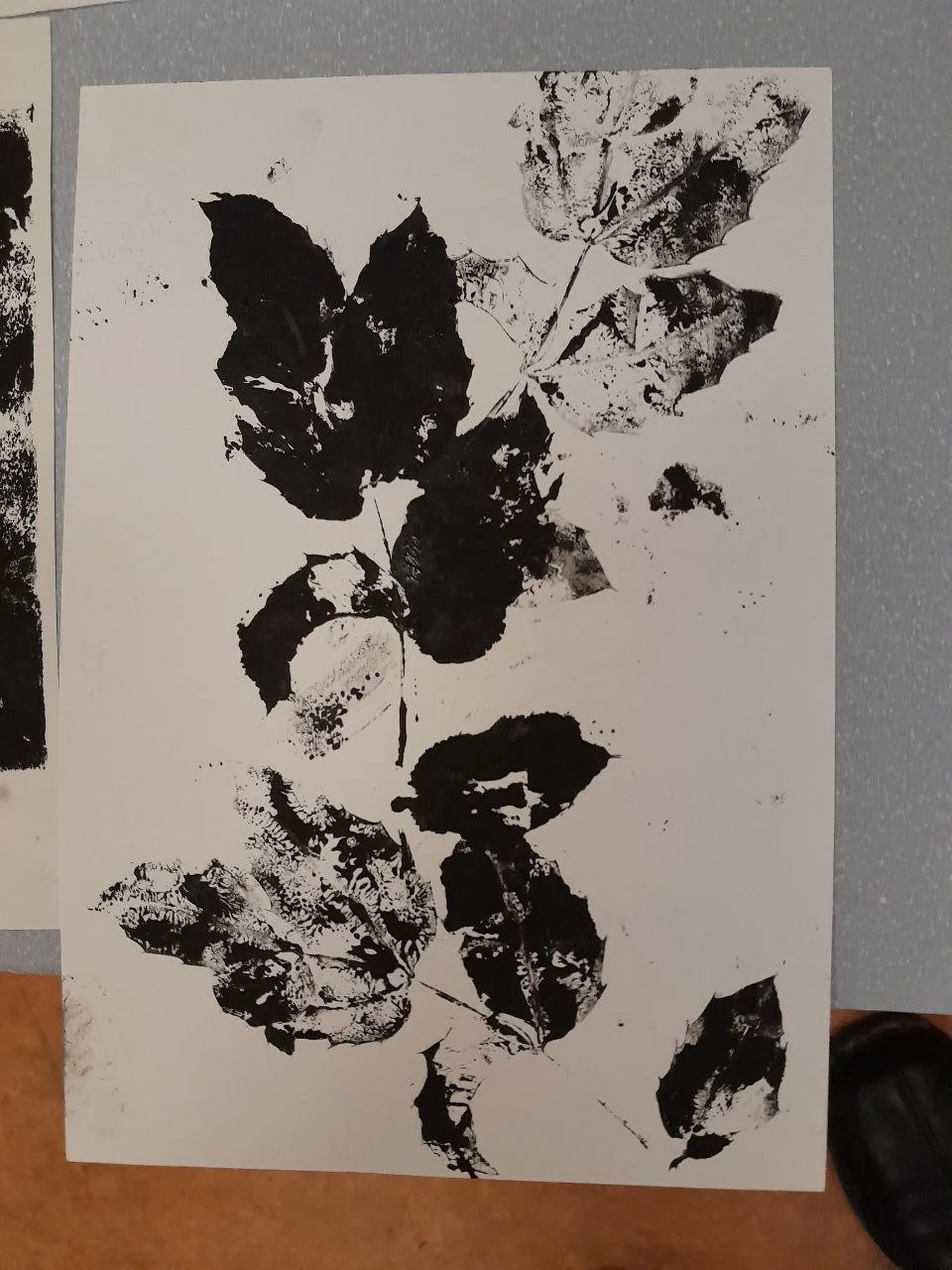 photo_2026-01-15 16.47.29.jpeg