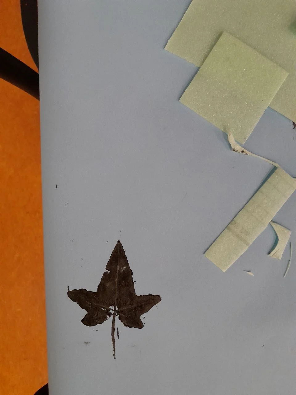 photo_2026-01-15 16.47.27.jpeg