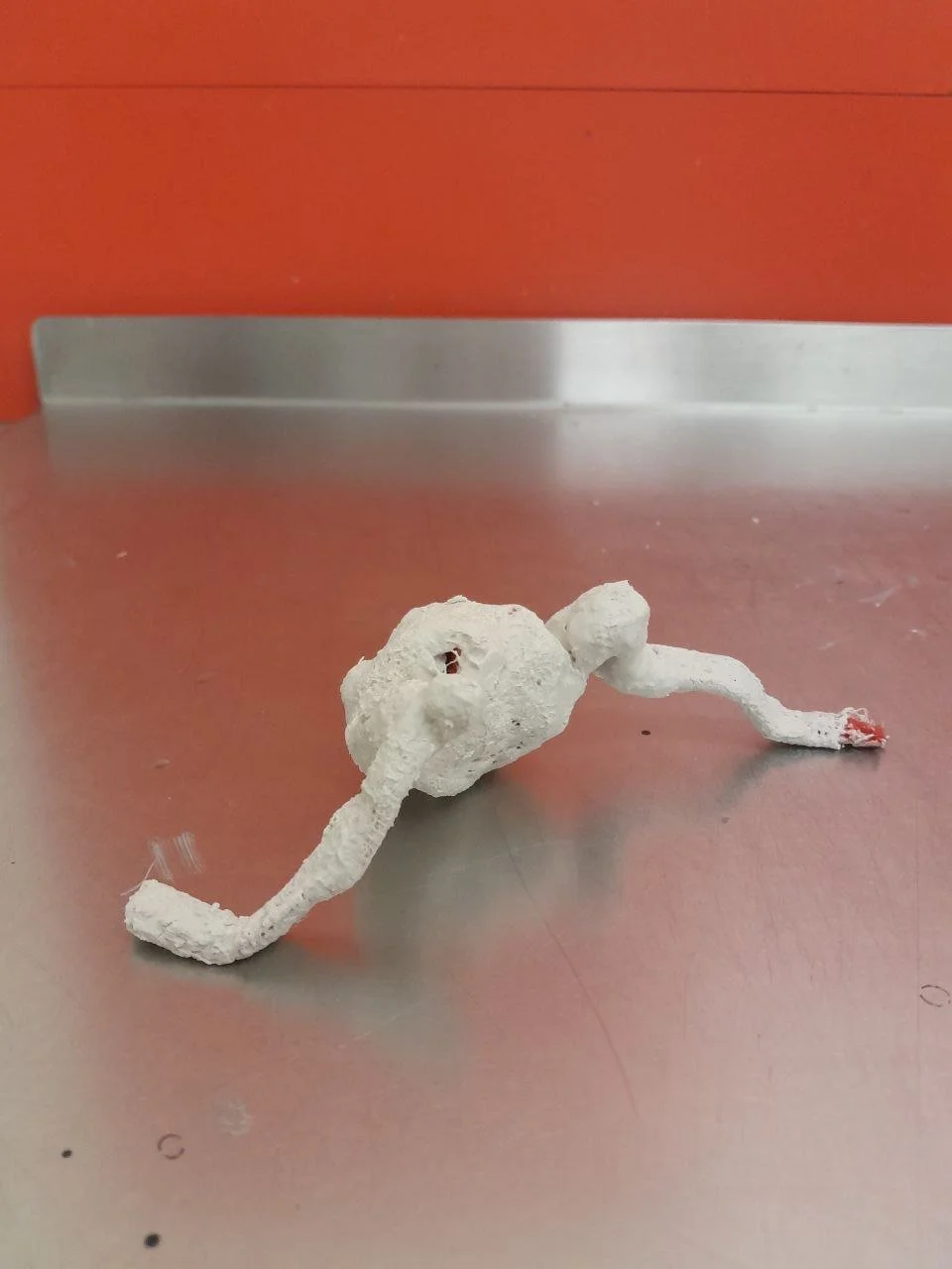 photo_2026-01-15 17.07.12.jpeg