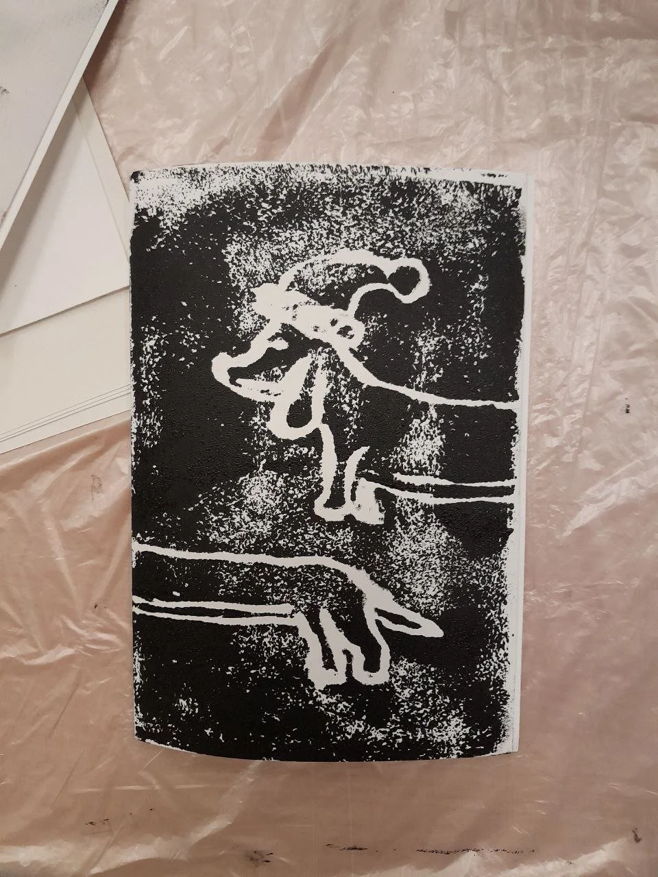 photo_2026-01-15 16.47.25.jpeg