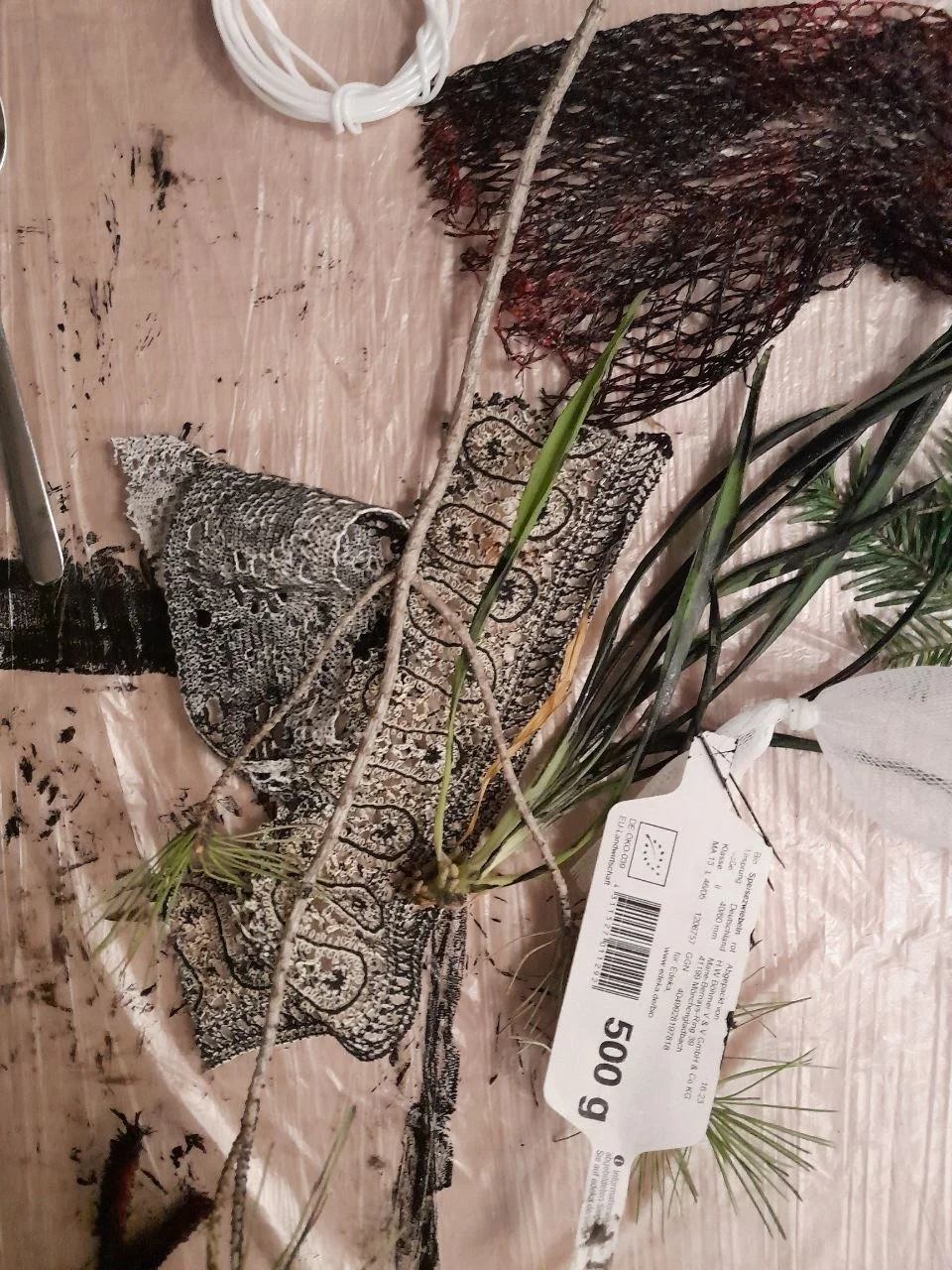 photo_2026-01-15 16.47.35.jpeg