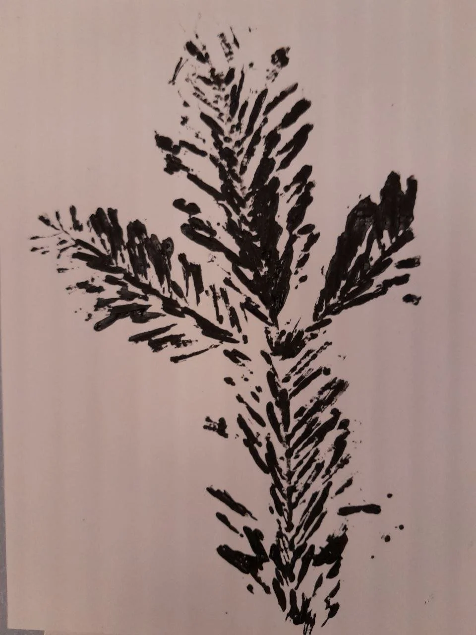 photo_2026-01-15 16.52.04.jpeg