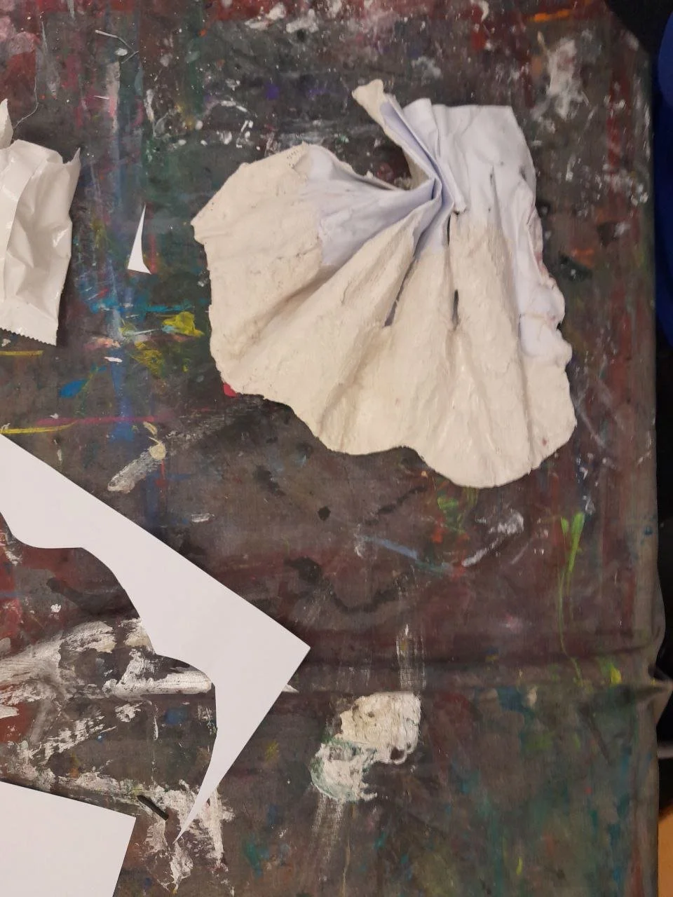 photo_2026-01-15 17.06.57.jpeg