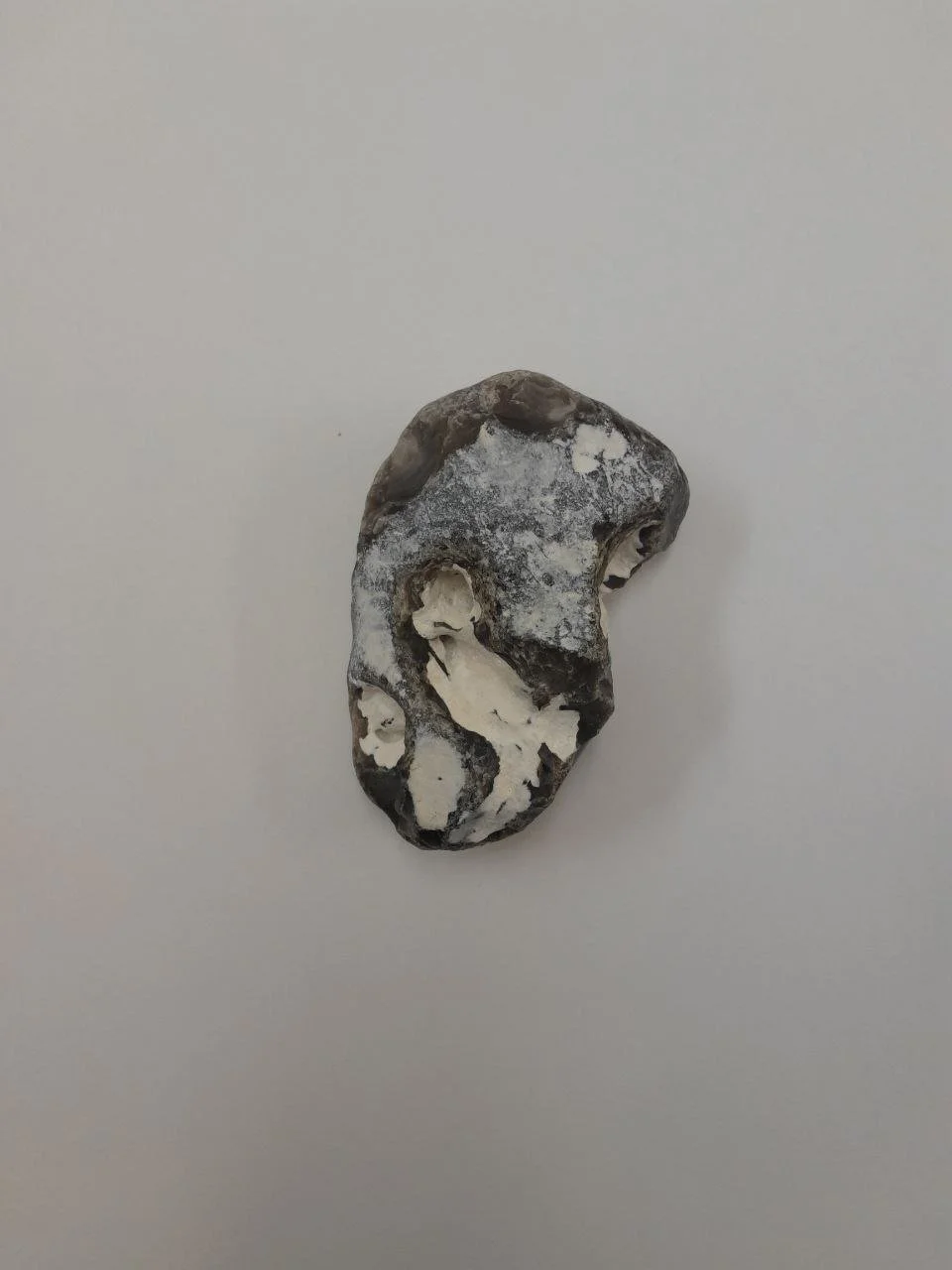 photo_2026-01-15 17.08.33.jpeg