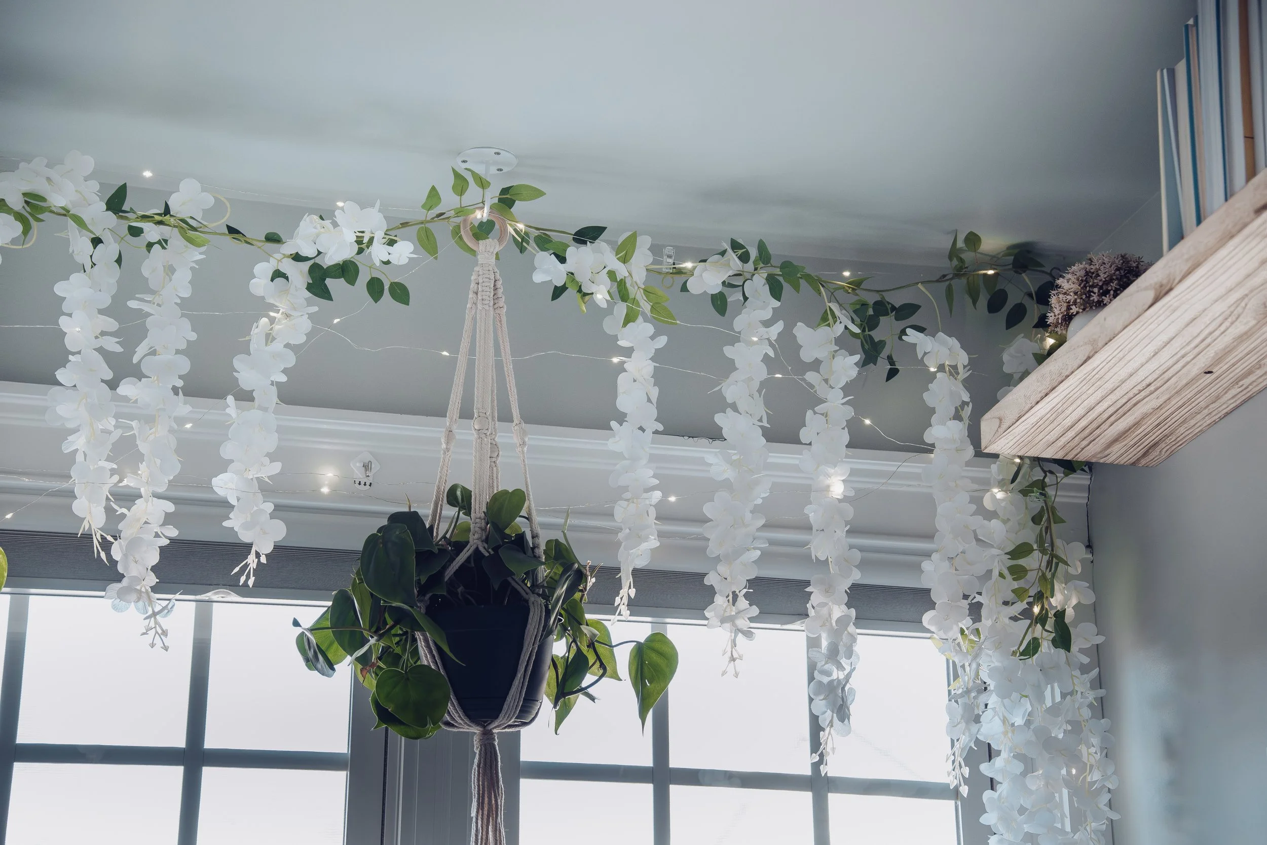 HANGING GREENERY - 

Bringing the outside in. Integrating biophilic elements like cascading greenery helps soften the boundary between indoor living and the natural world, lowering stress and boosting mood.