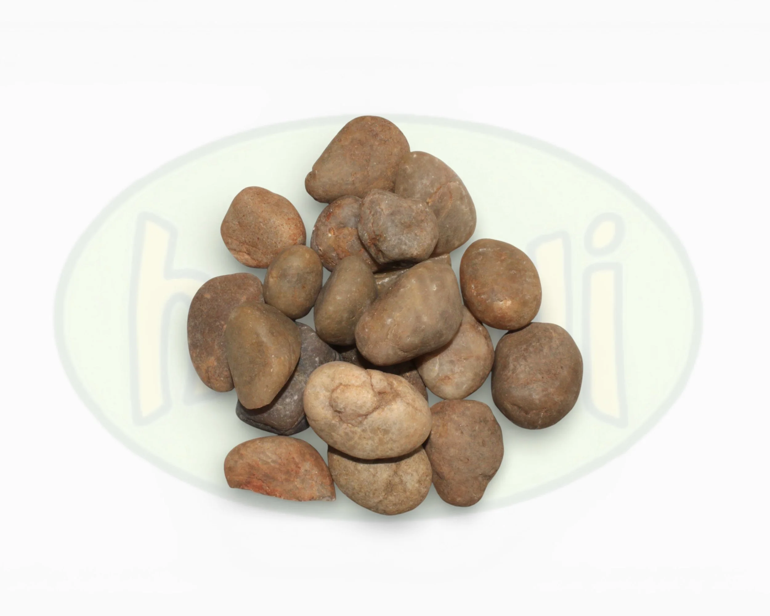 P mixed S (top) 4.jpg