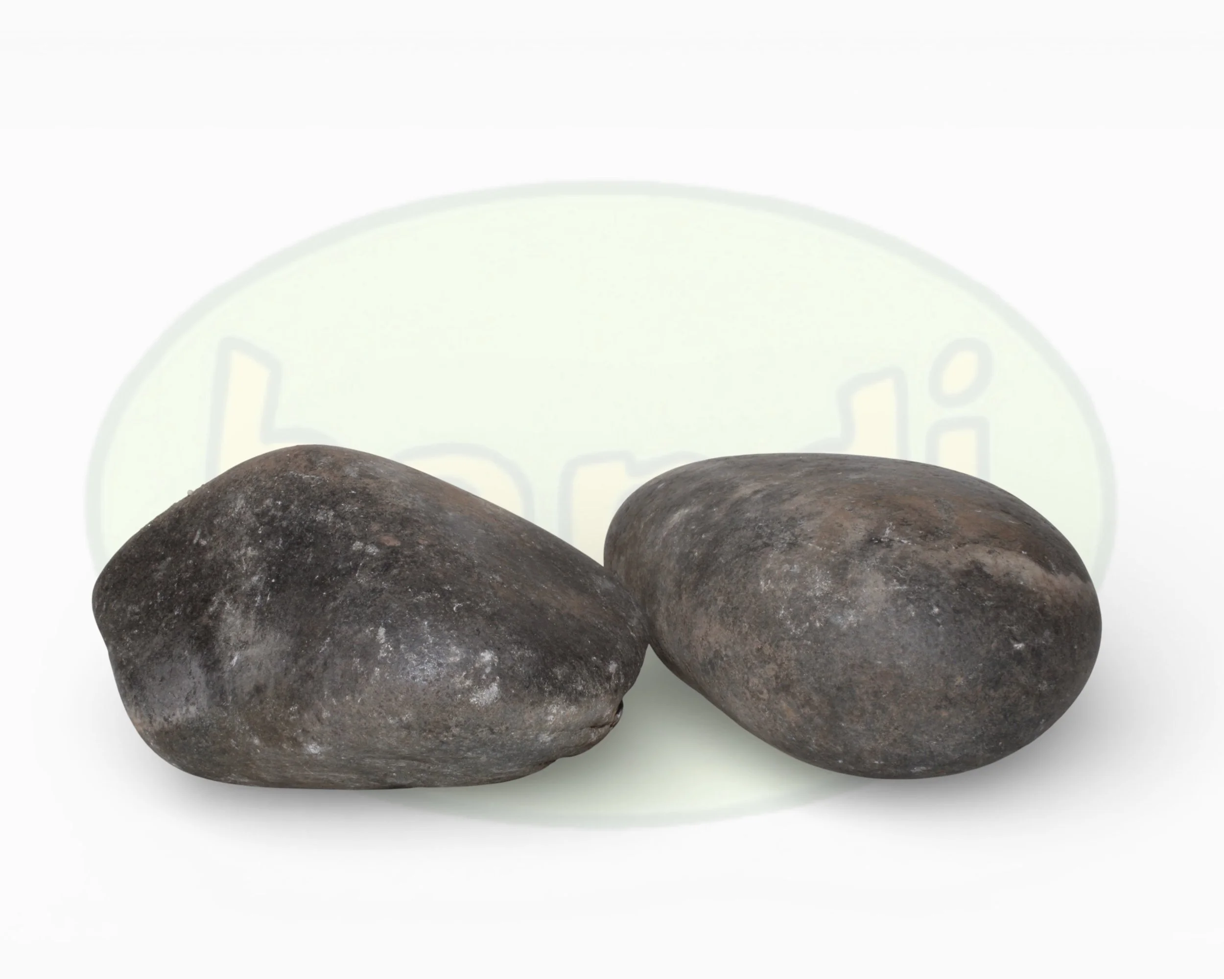 P black XL (front) 3.jpg