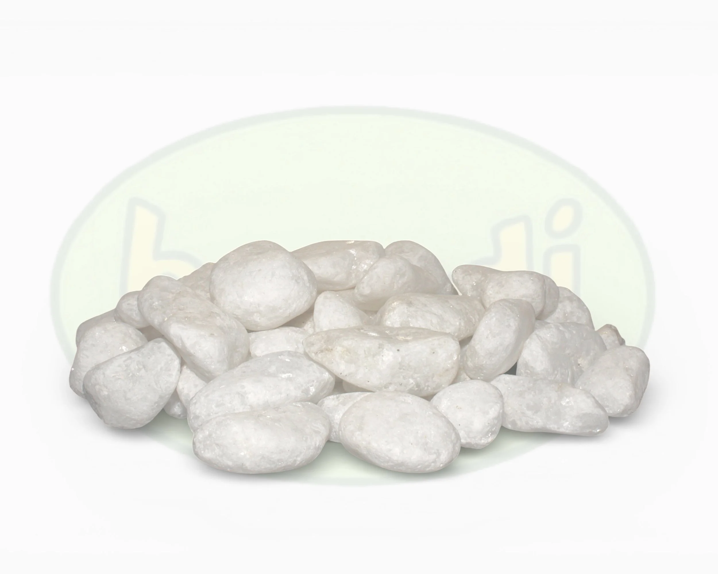 P white XS (front) 4.jpg