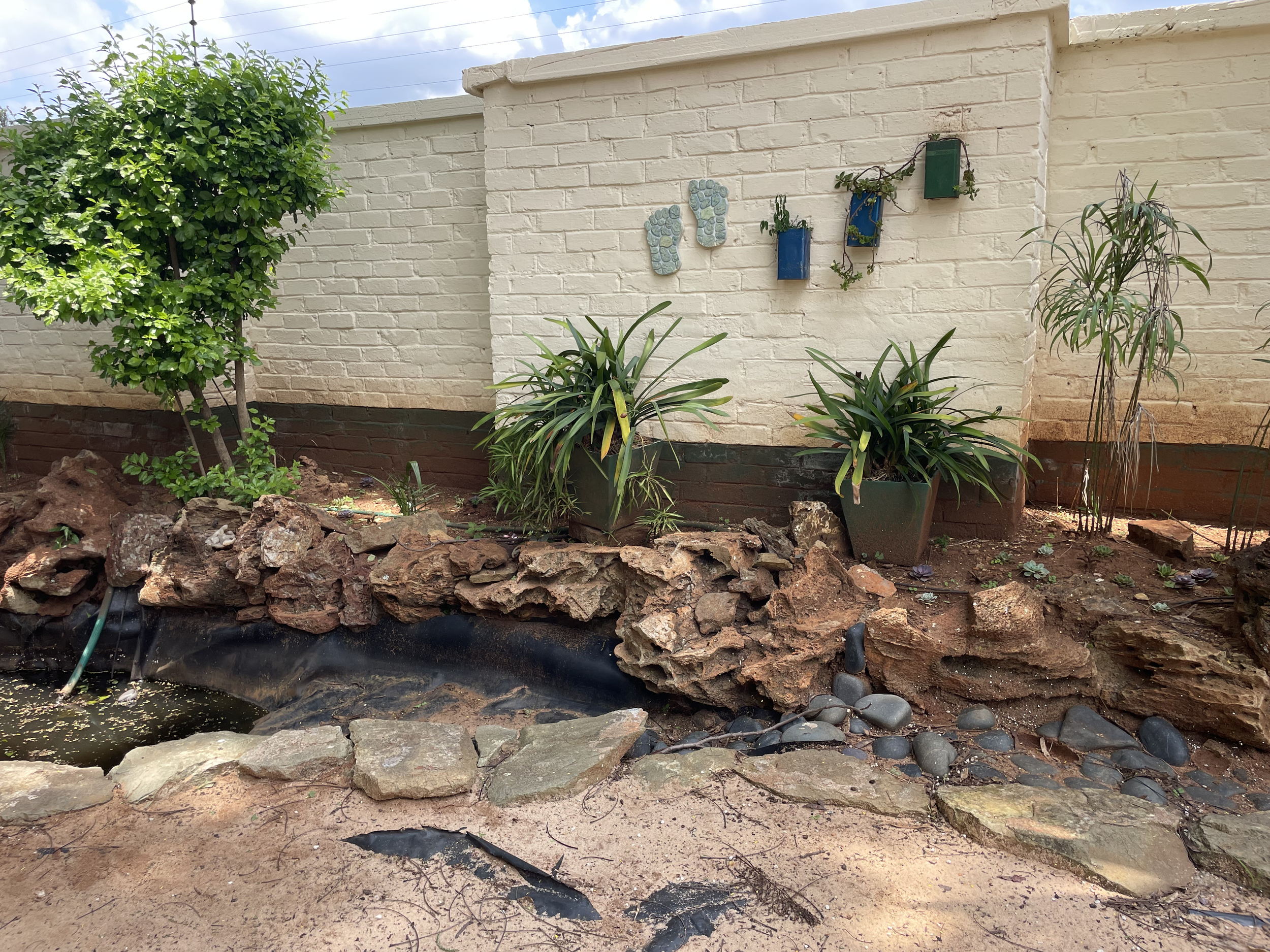 A garden with a brick wall, potted plants, rocks, and a small pond.