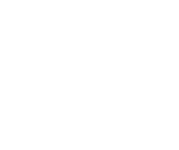 Visox Logodesign