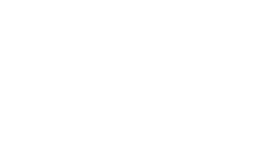 Punktur Logodesign