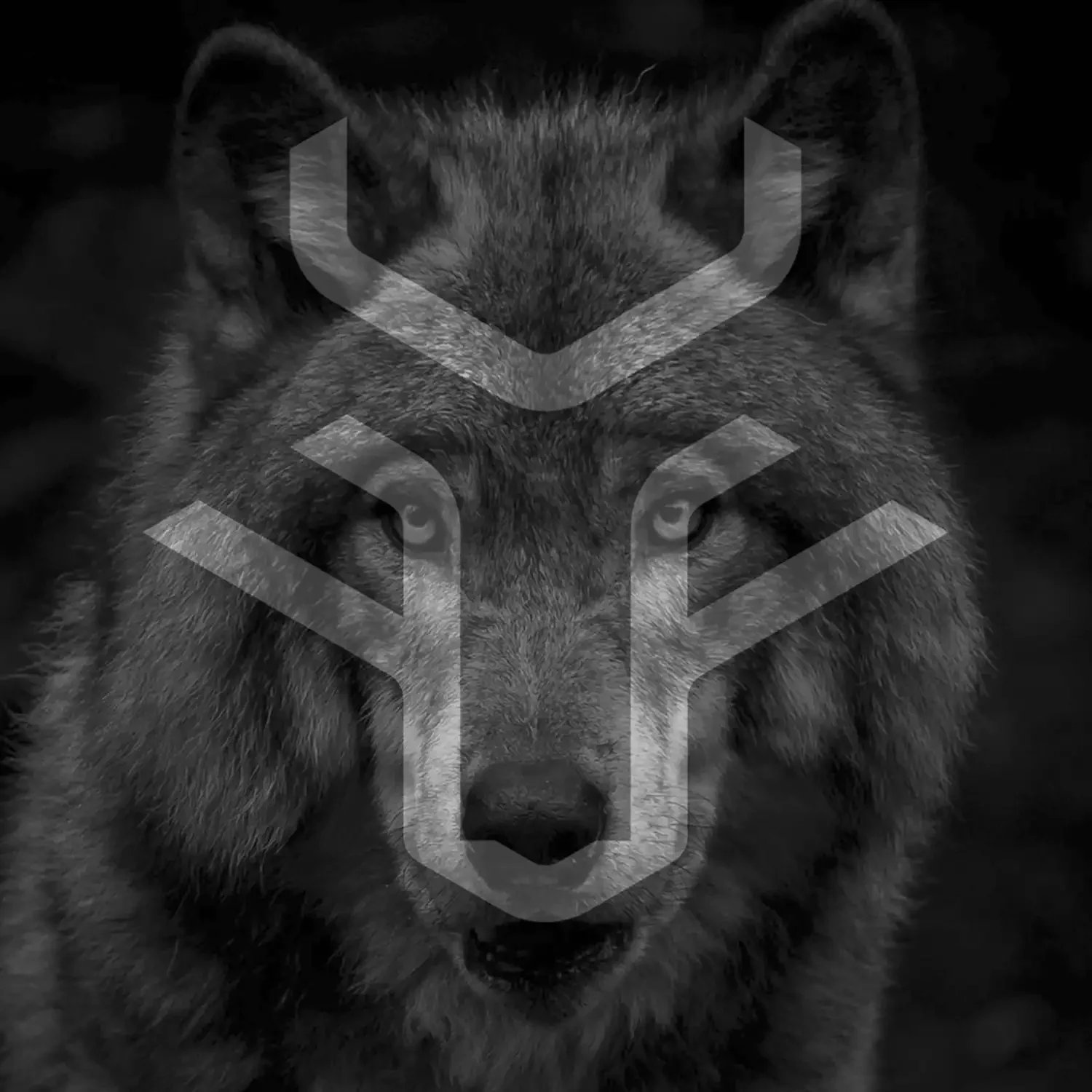 Logodesign Okami – Janz Design