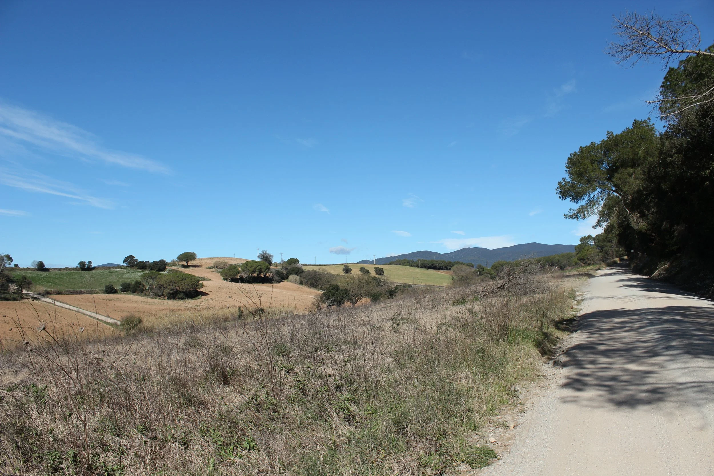 Landscape image from Cardedeu