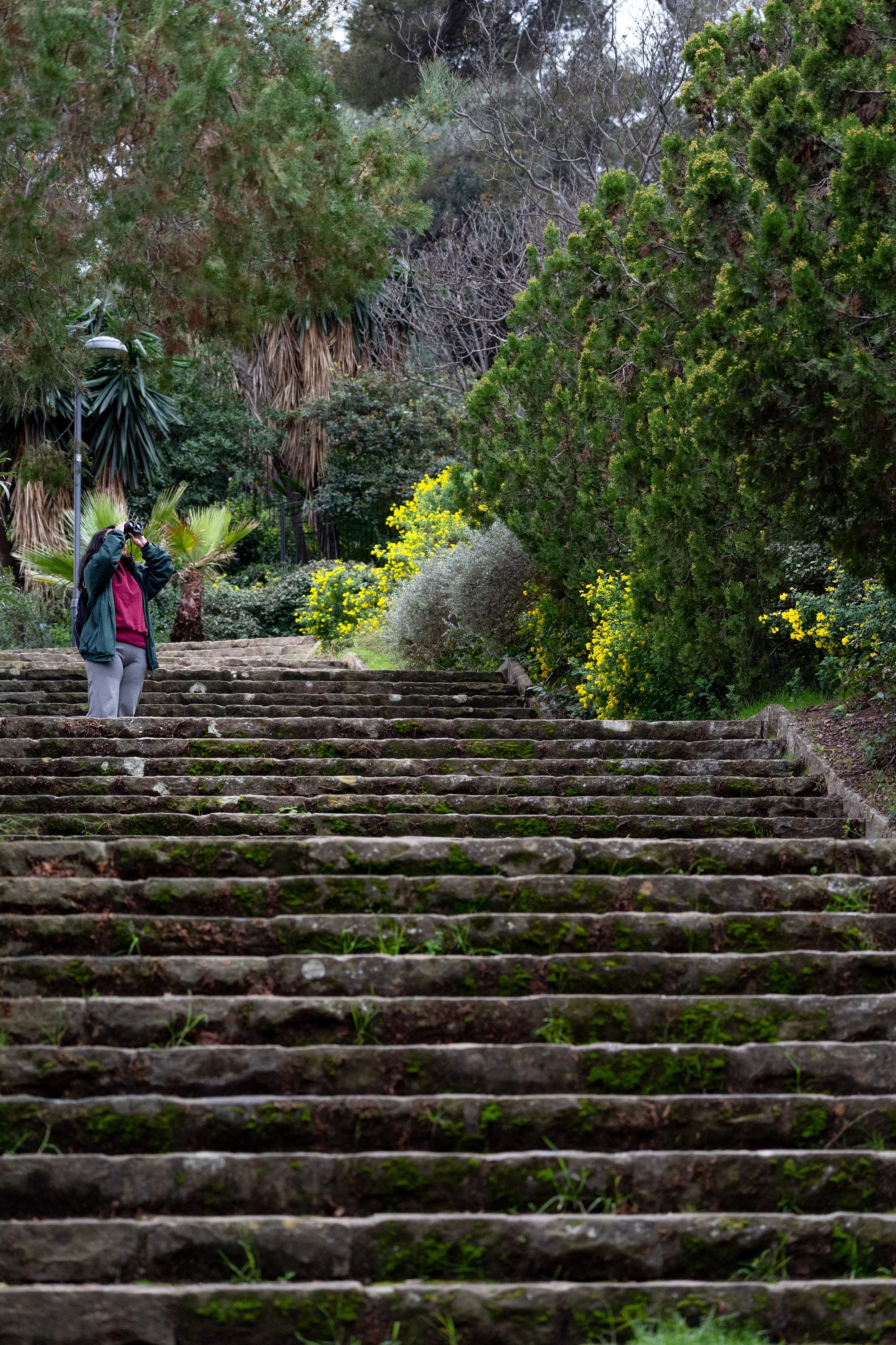 Joyce Solo - Binoculars (1).JPG