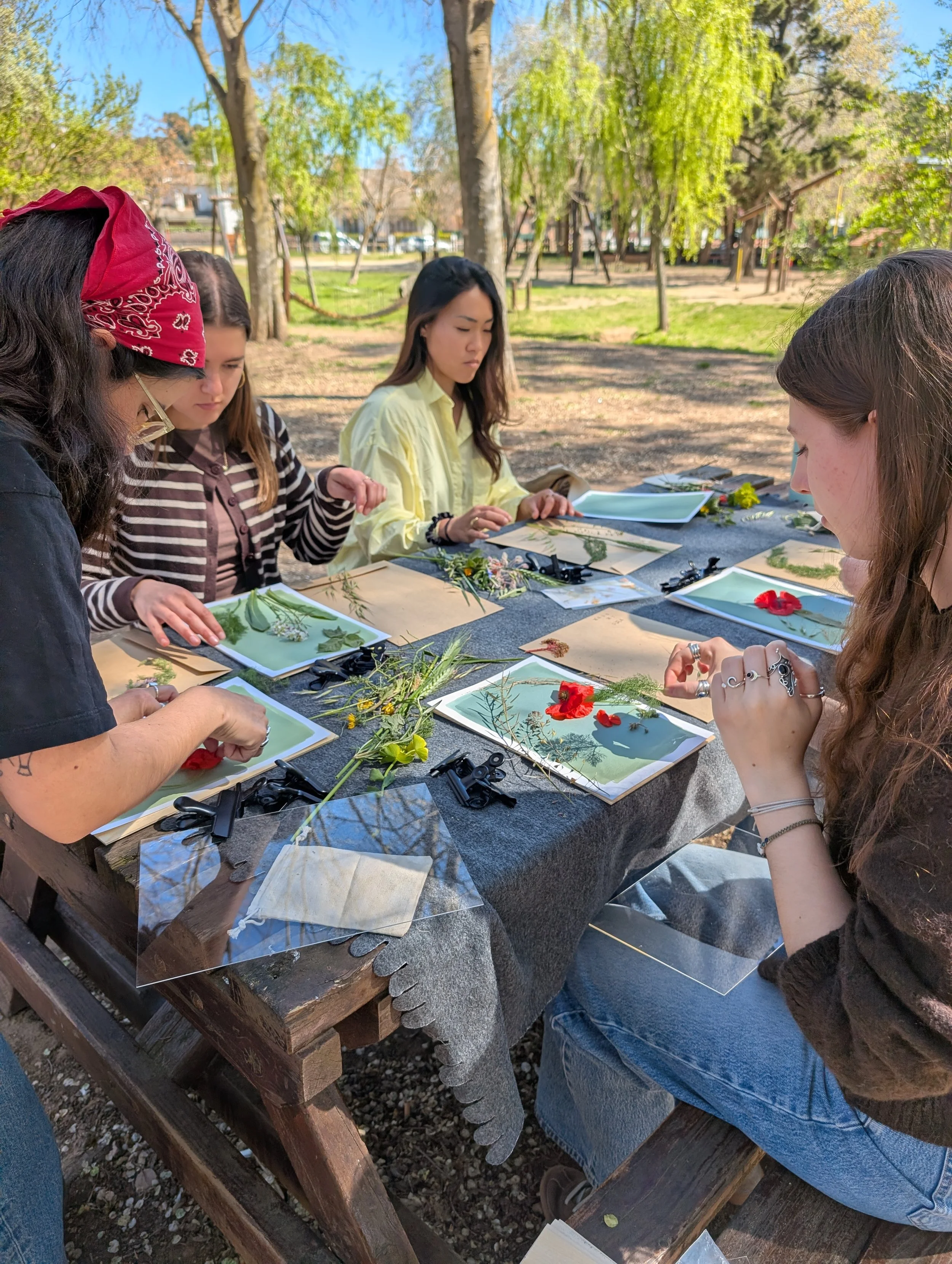 making cyanotype prints with Made My Dia