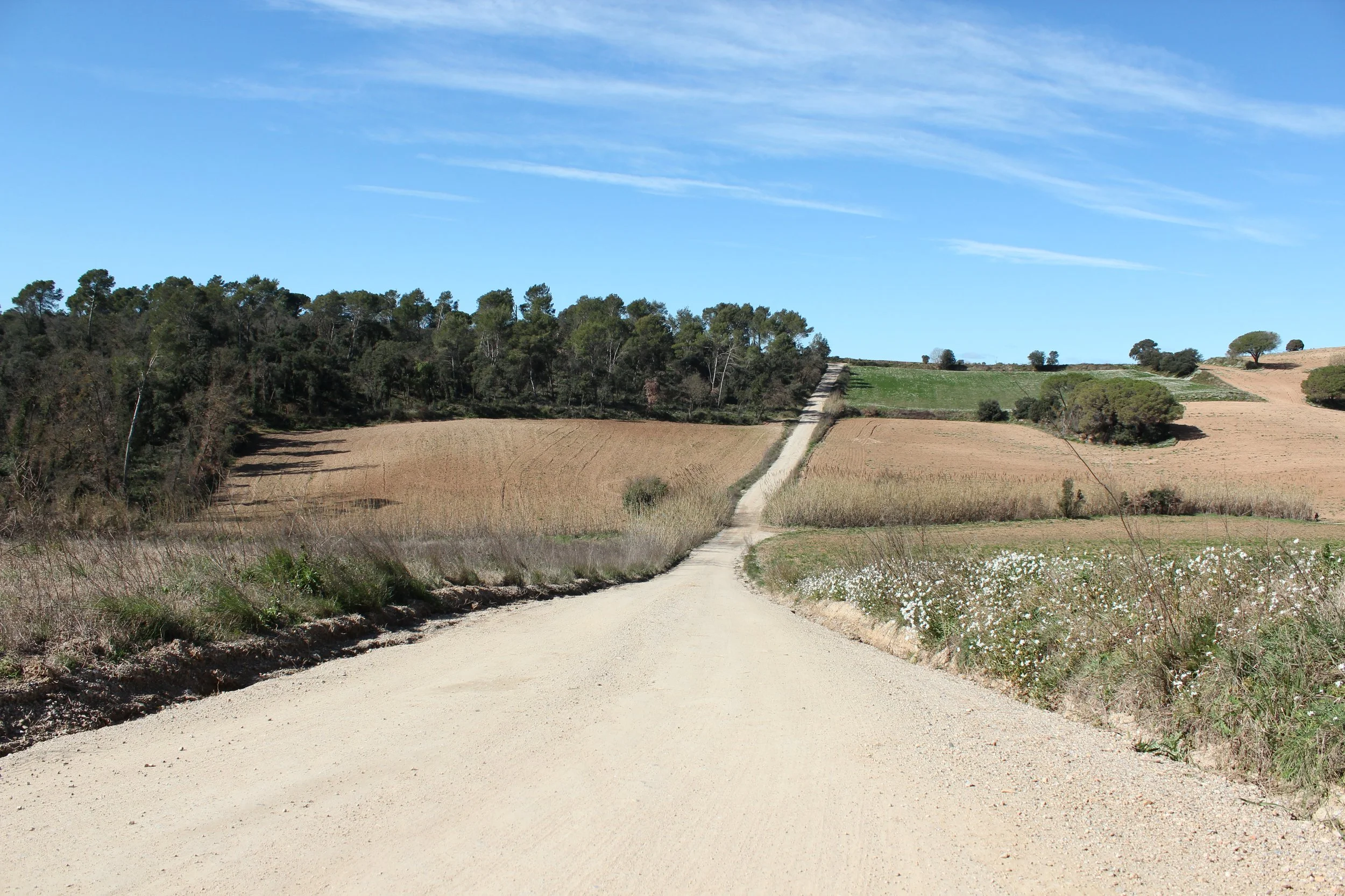 Landscape image from Cardedeu