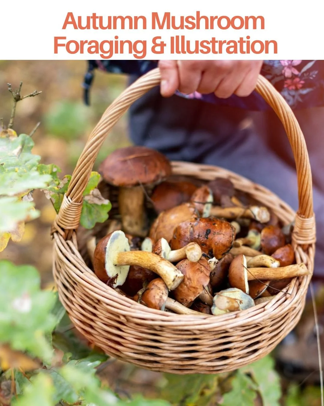 Autumn Mushroom Foraging & Illustration Workshop: 15 Nov