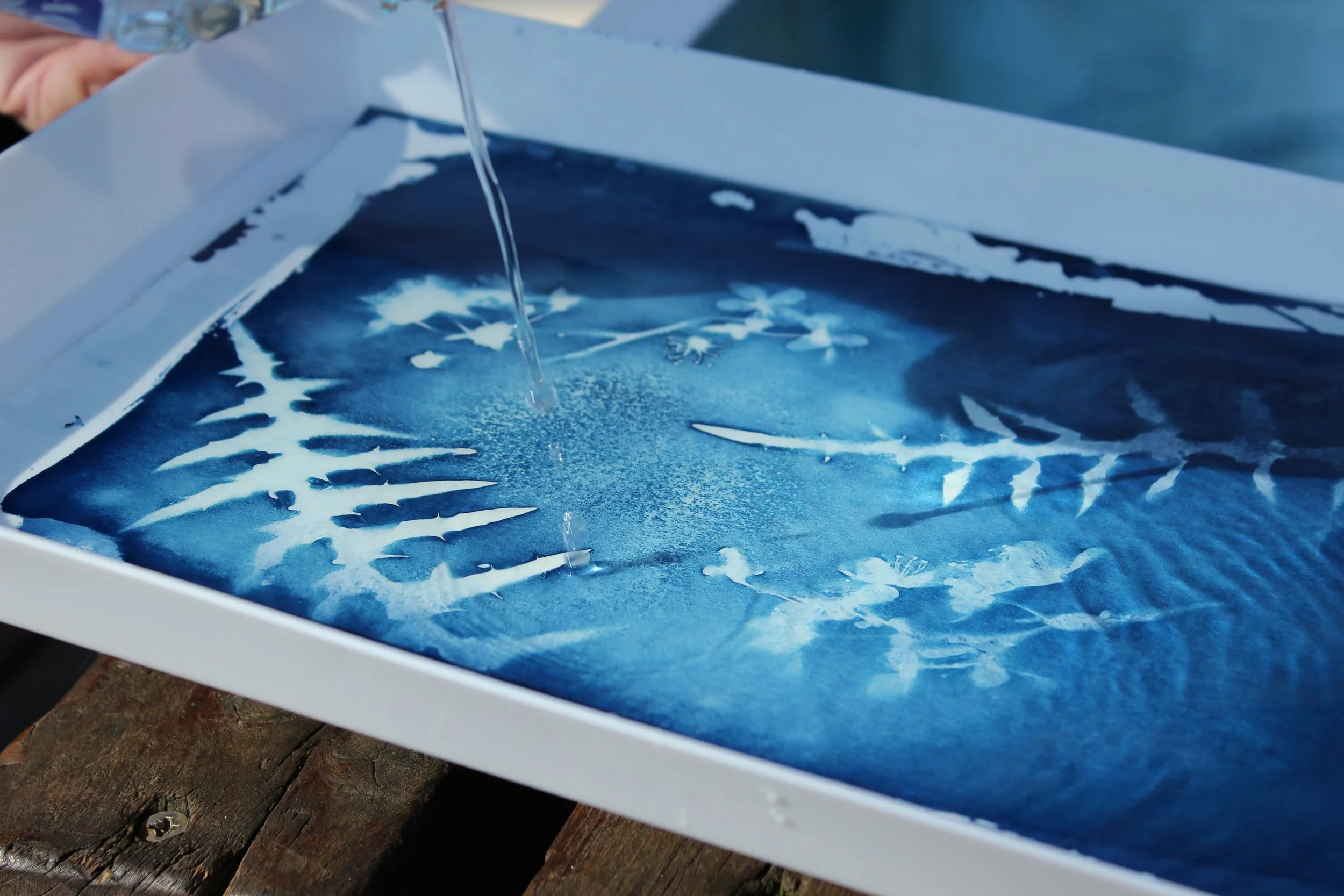 Cyanotype print with Made My Dia