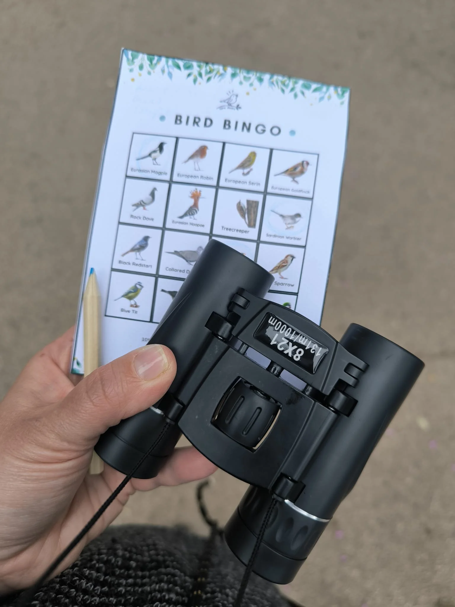 Habili Club - Bird Bingo card.jpg