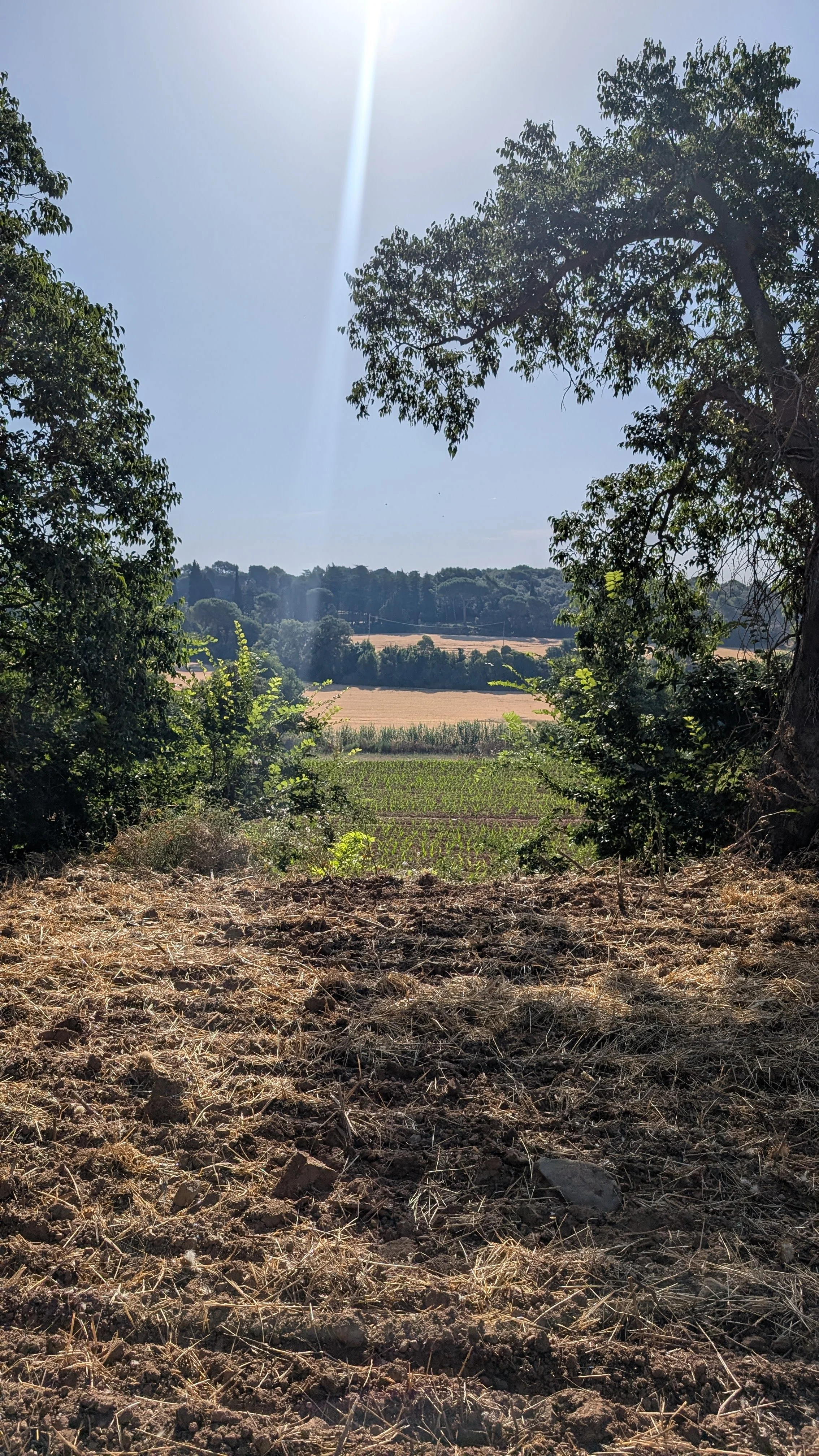 Country walk with Made My Dia