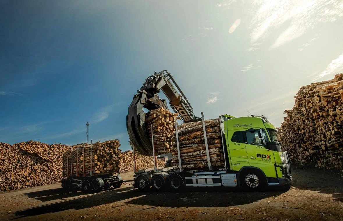 En grön skogsbil med griparm som lastar trästockar på ett släp, omgiven av högar av stockar i ett skogsområde under en solig dag.